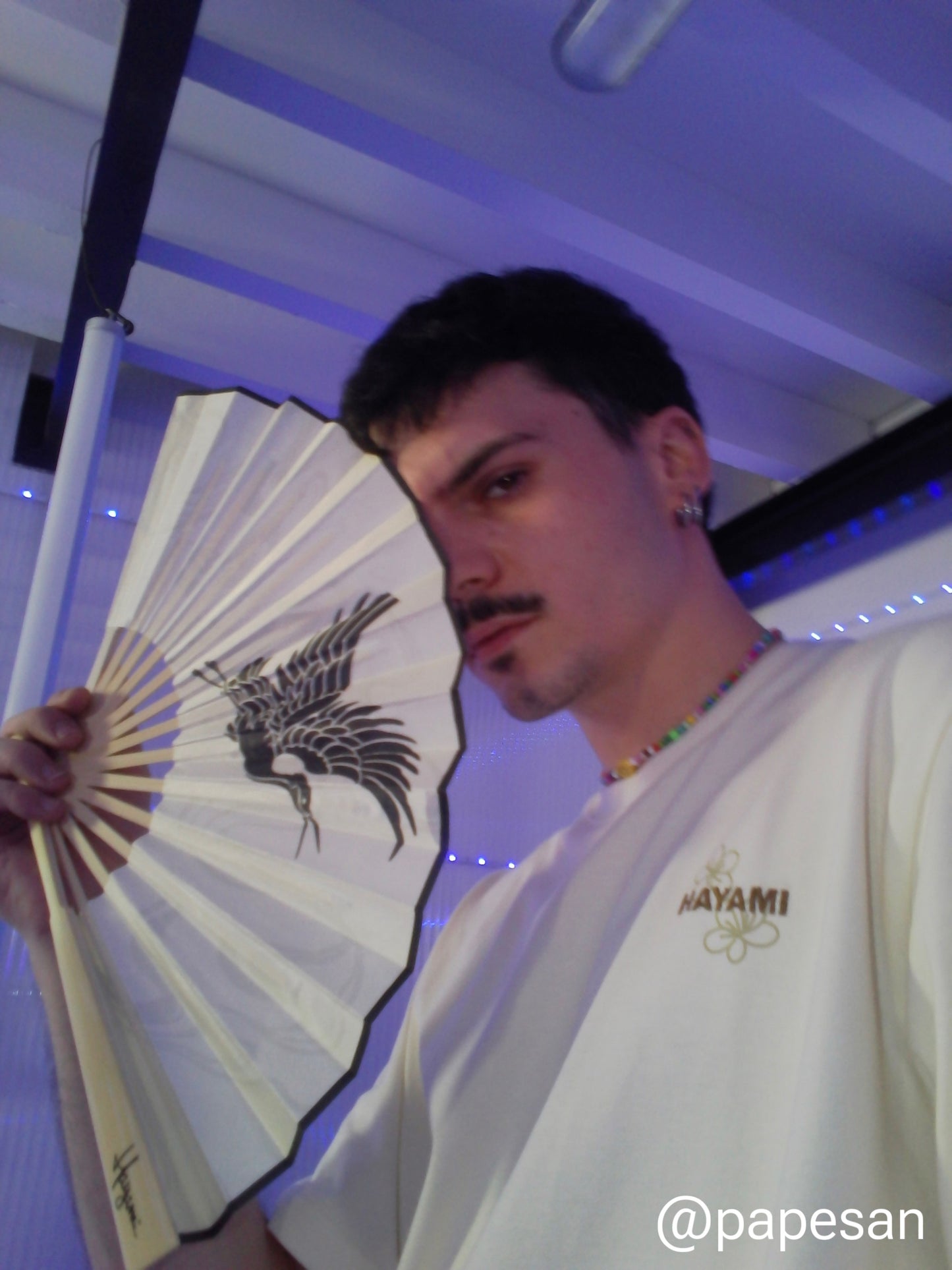 HAYAMI fan