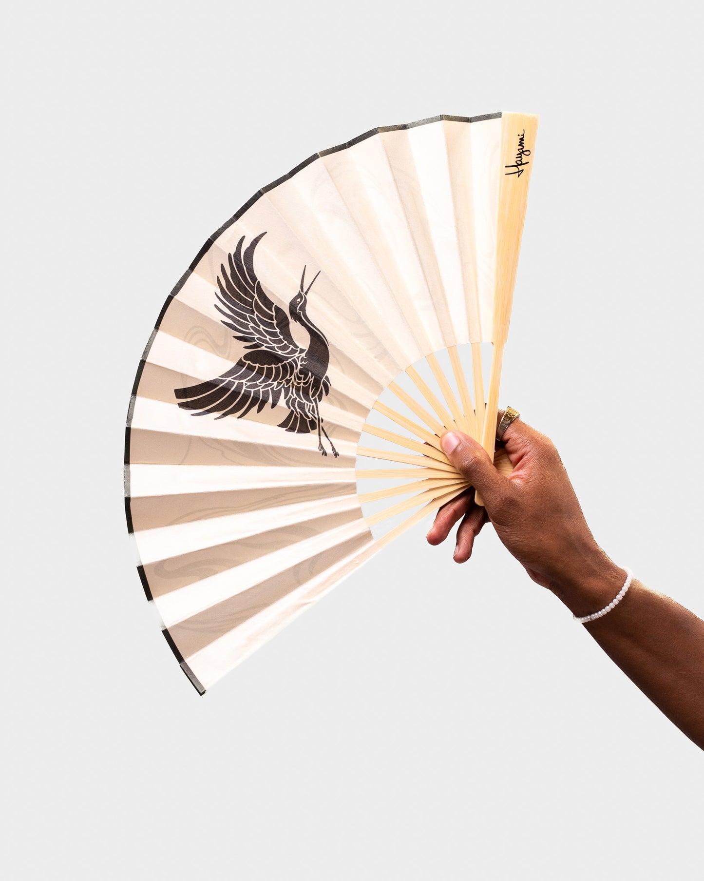 HAYAMI fan