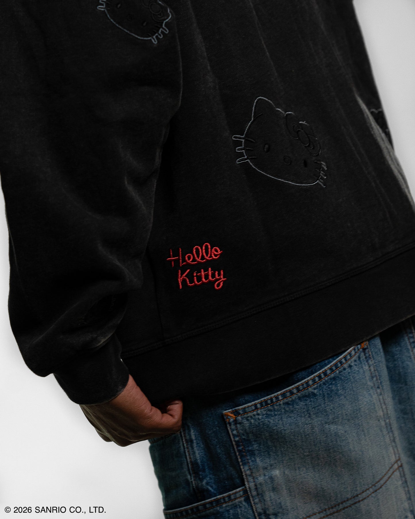 Hoodie Zippé Hayami | Hello Kitty