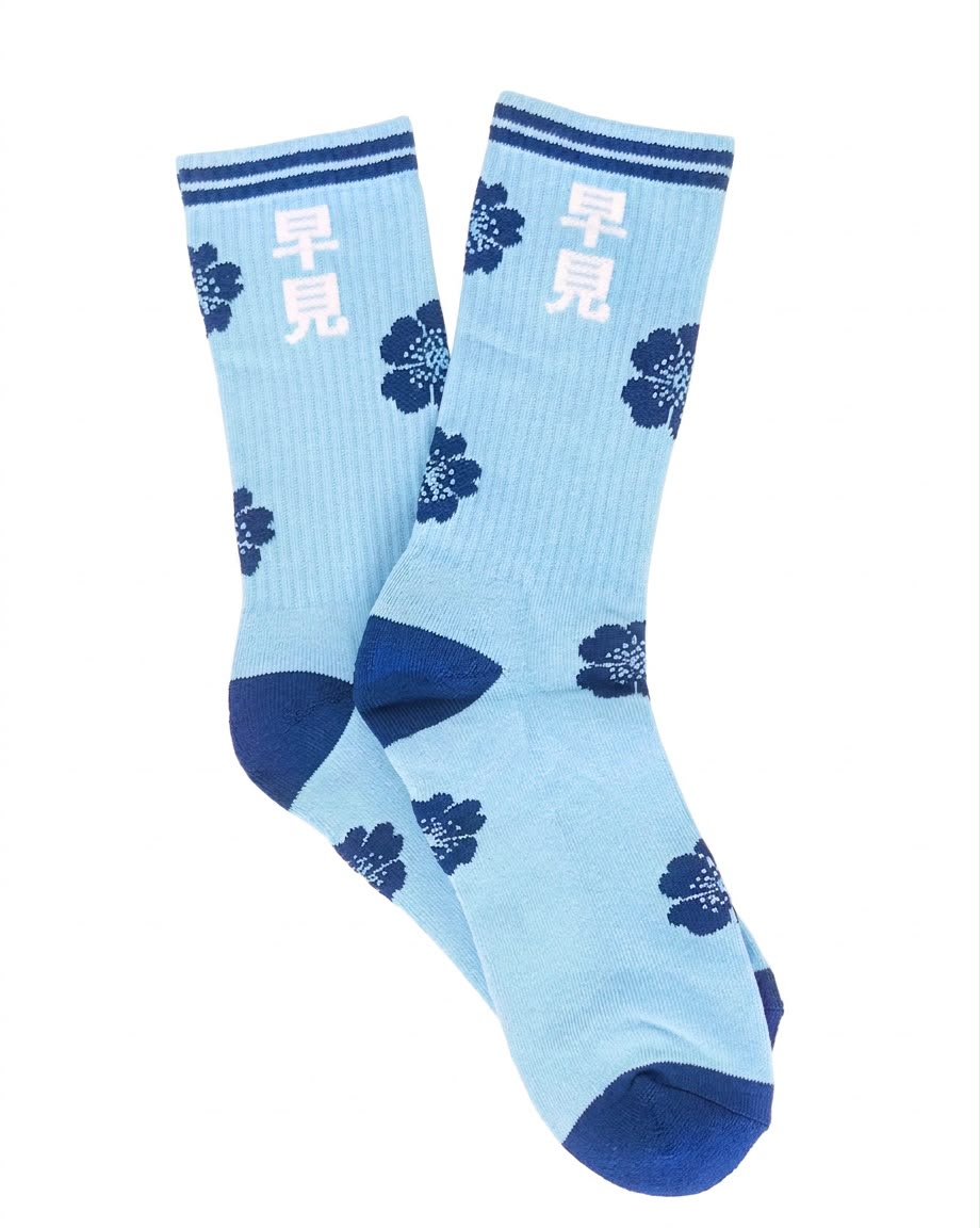 Summer Blue Socks